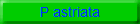 P astriata