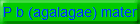 P b (agalagae) mater