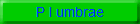 P l umbrae