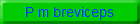 P m breviceps