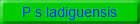 P s ladiguensis